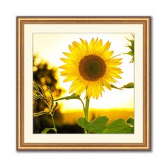 Square framed poster prints, online photo framing